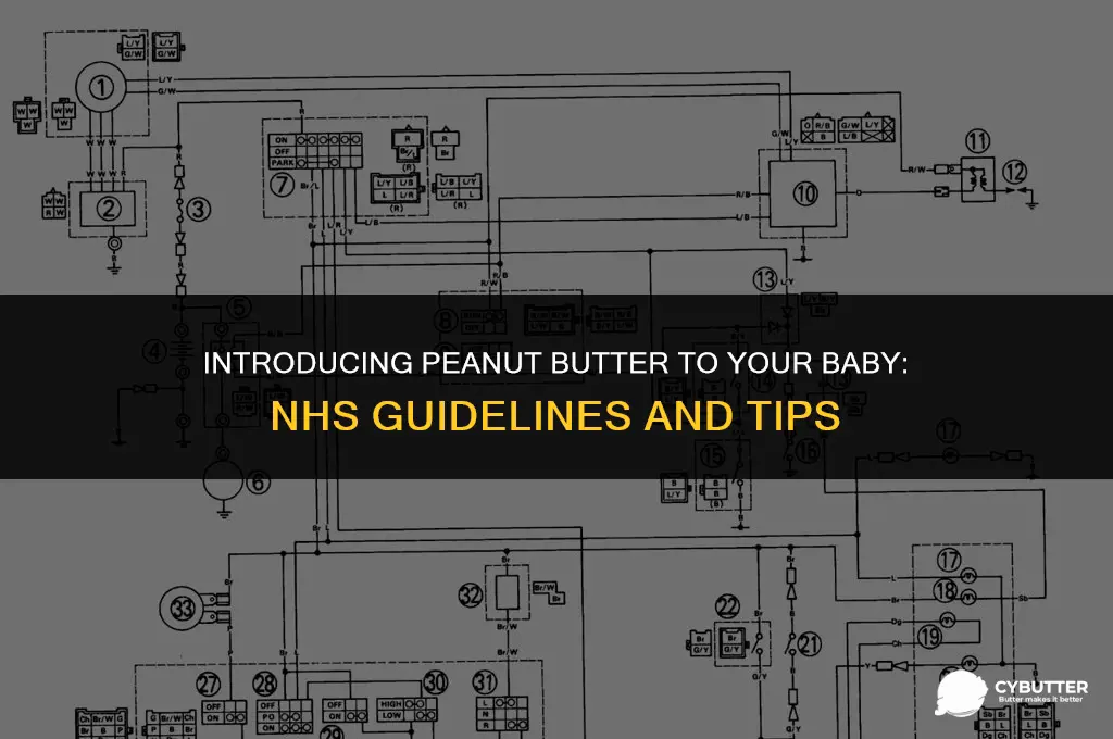how to introduce peanut butter to baby nhs