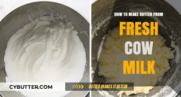 From Farm to Table: The Simple Art of Making Butter at Home