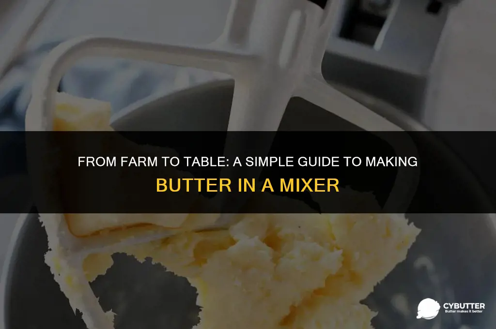 how to make butter from raw milk in a mixer