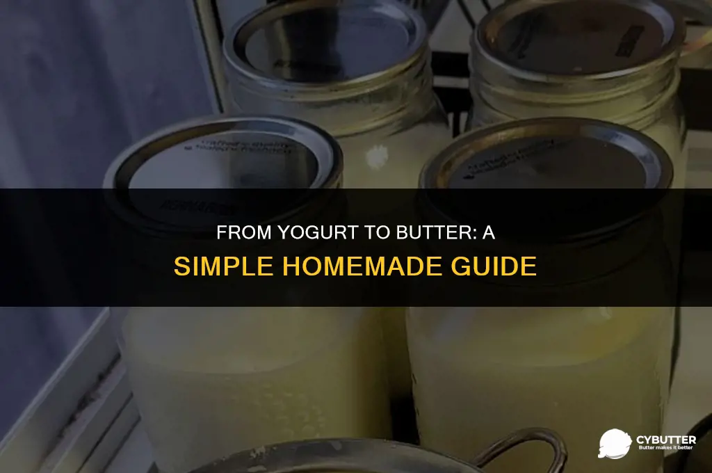 how to make butter from yogurt