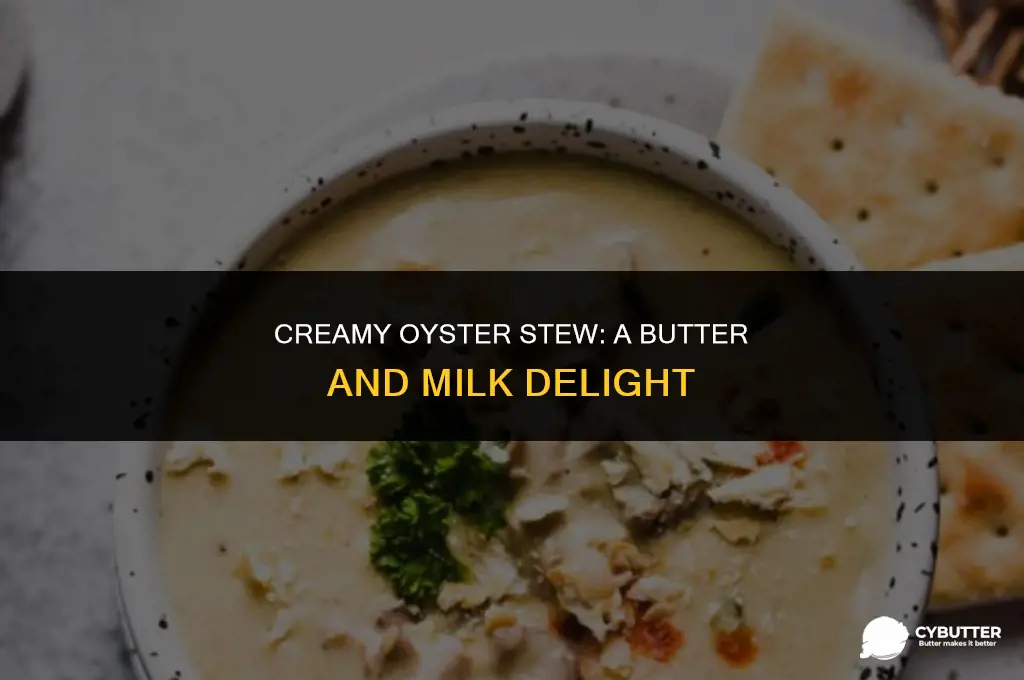 how to make oyster stew with milk and butter