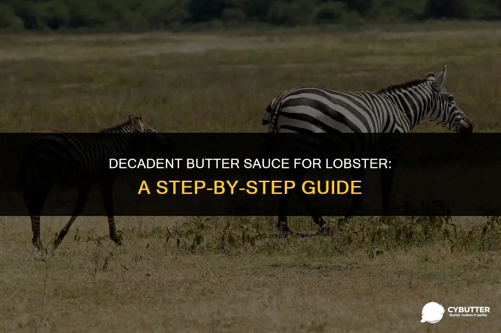 how to make the butter sauce for lobster