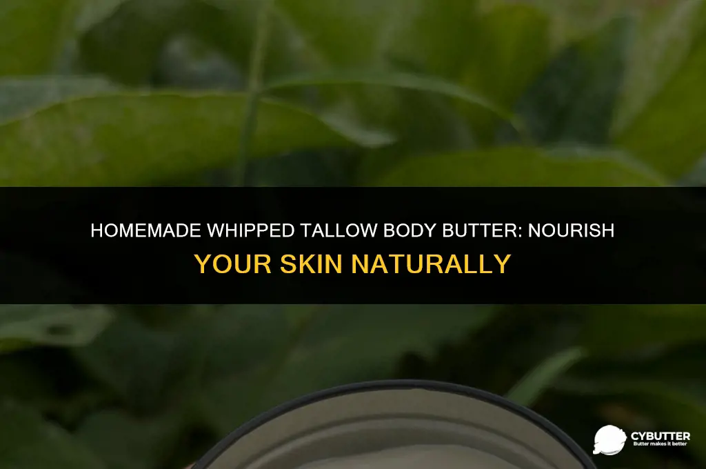 how to make whipped tallow body butter