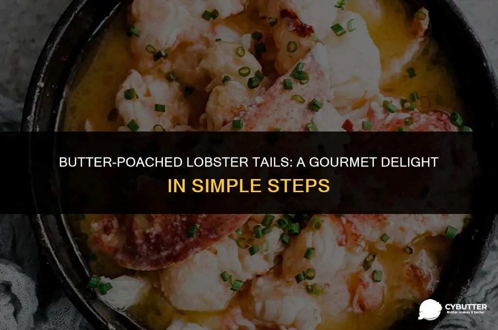 how to poach lobster tails in butter