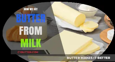 From Milk to Butter: A Simple Step-by-Step Process Explained