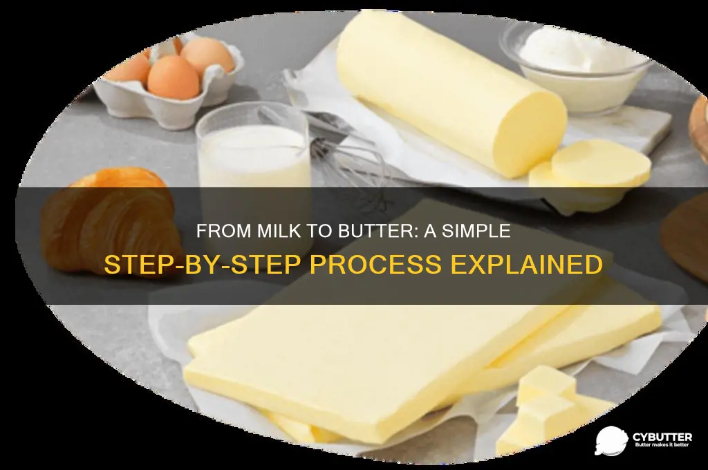 how we get butter from milk