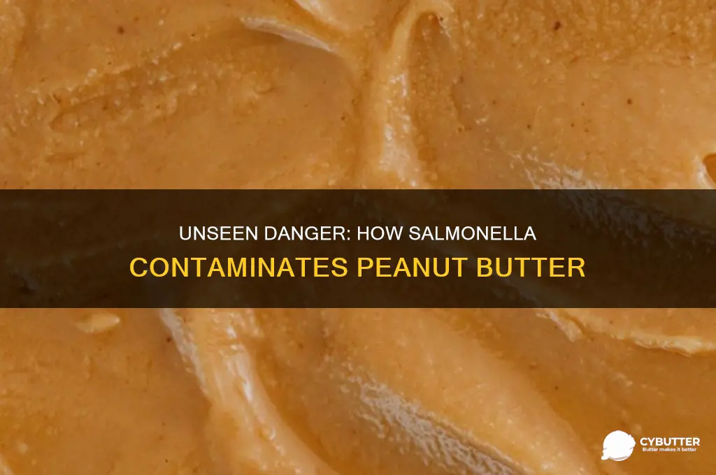 how would salmonella get into peanut butter