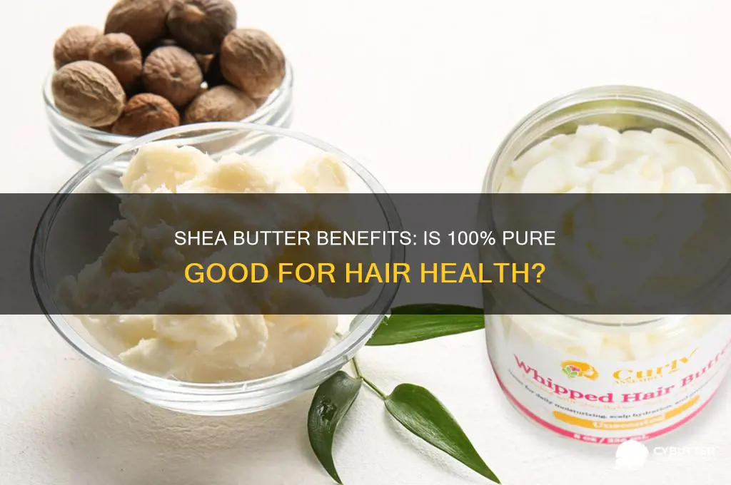 is 100 shea butter good for your hair