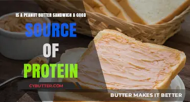 Peanut Butter Sandwich: A Protein-Packed Lunch Option or Not?