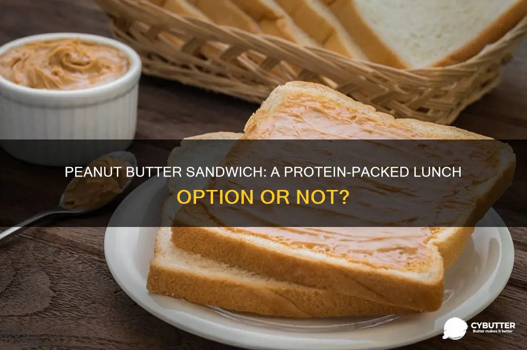 is a peanut butter sandwich a good source of protein