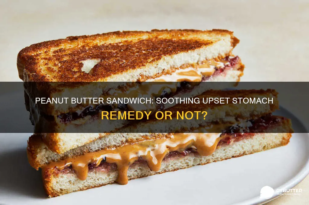 is a peanut butter sandwich good for an upset stomach