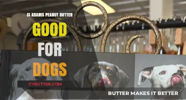 Is Adams Peanut Butter Safe for Dogs? A Complete Guide