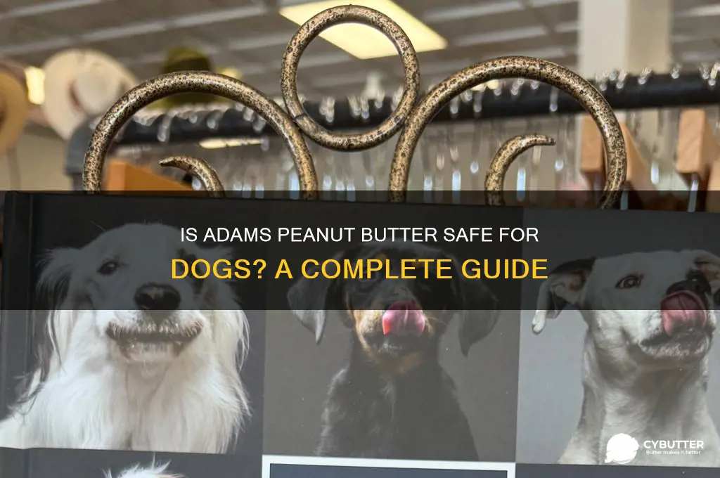 is adams peanut butter good for dogs