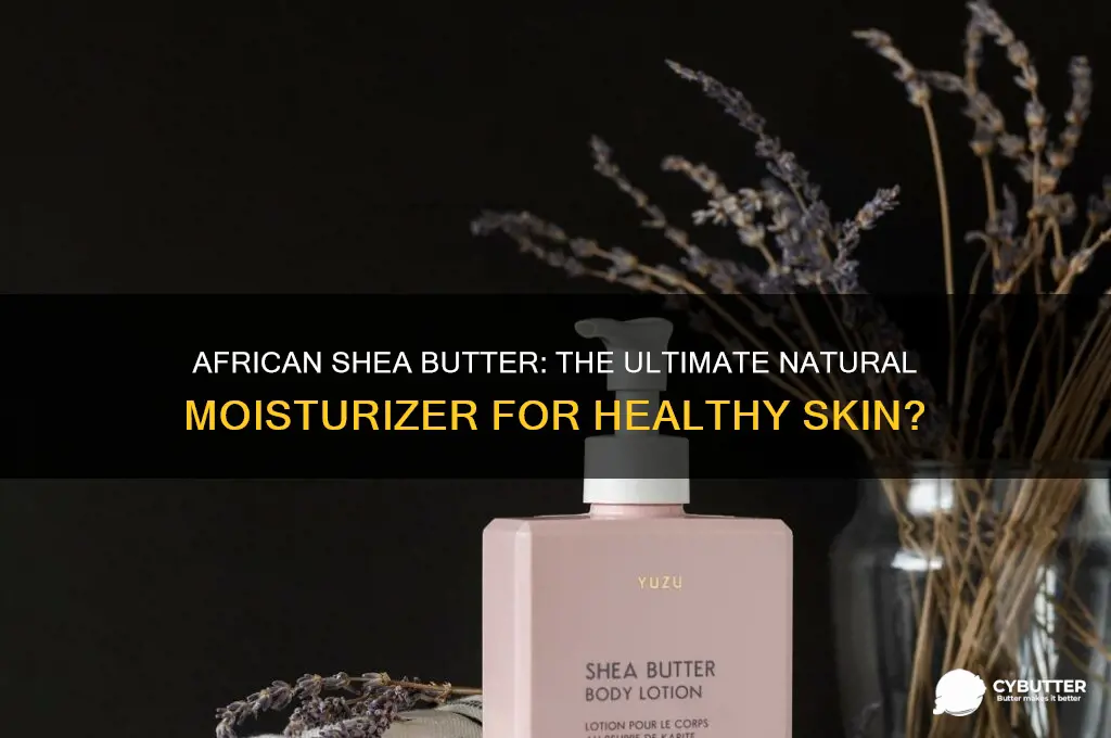 is african shea butter a good moisturizer