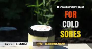 African Shea Butter: A Natural Remedy for Cold Sores?