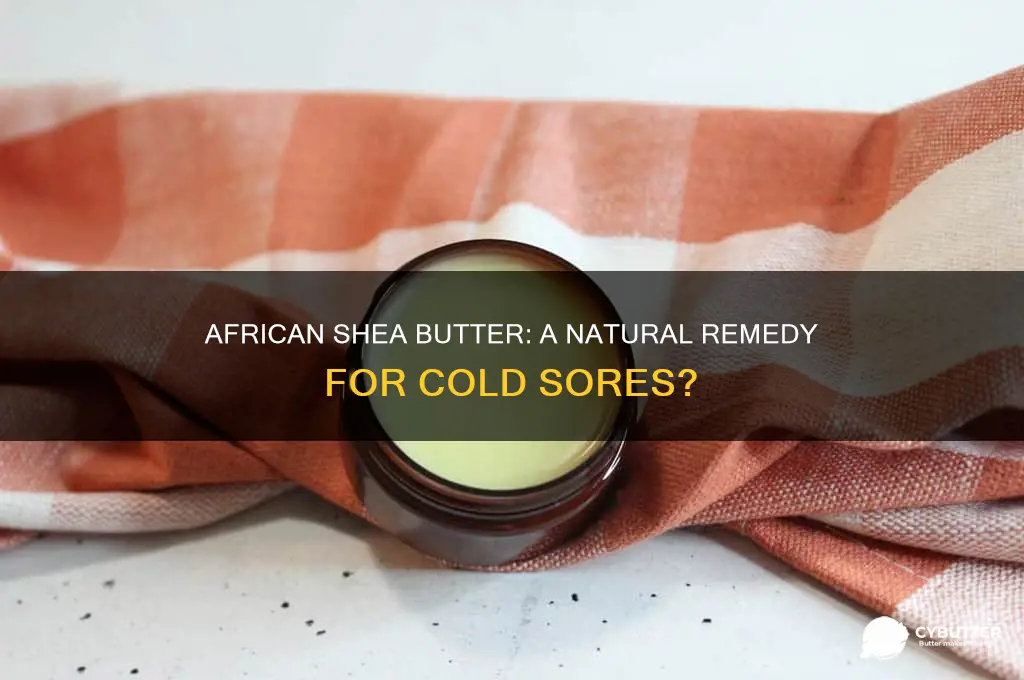 is african shea butter good for cold sores