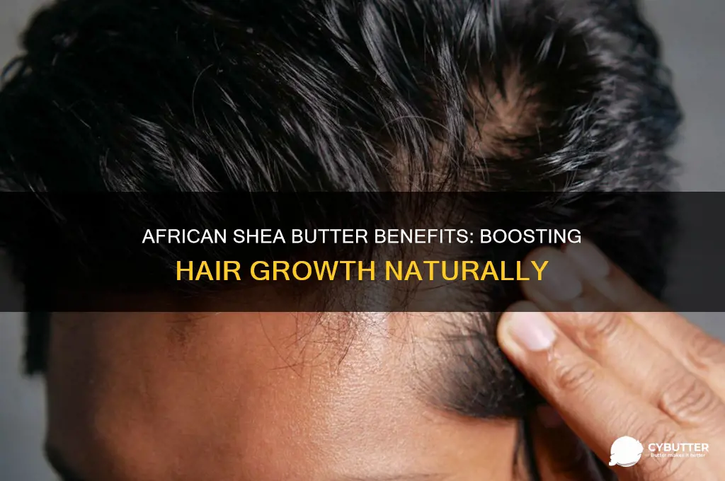 is african shea butter good for hair growth