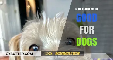 Is All Peanut Butter Safe for Dogs? A Complete Guide