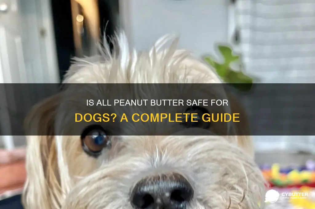 is all peanut butter good for dogs