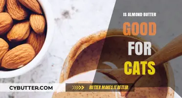 Can Cats Eat Almond Butter? Nutritional Benefits and Risks Explained
