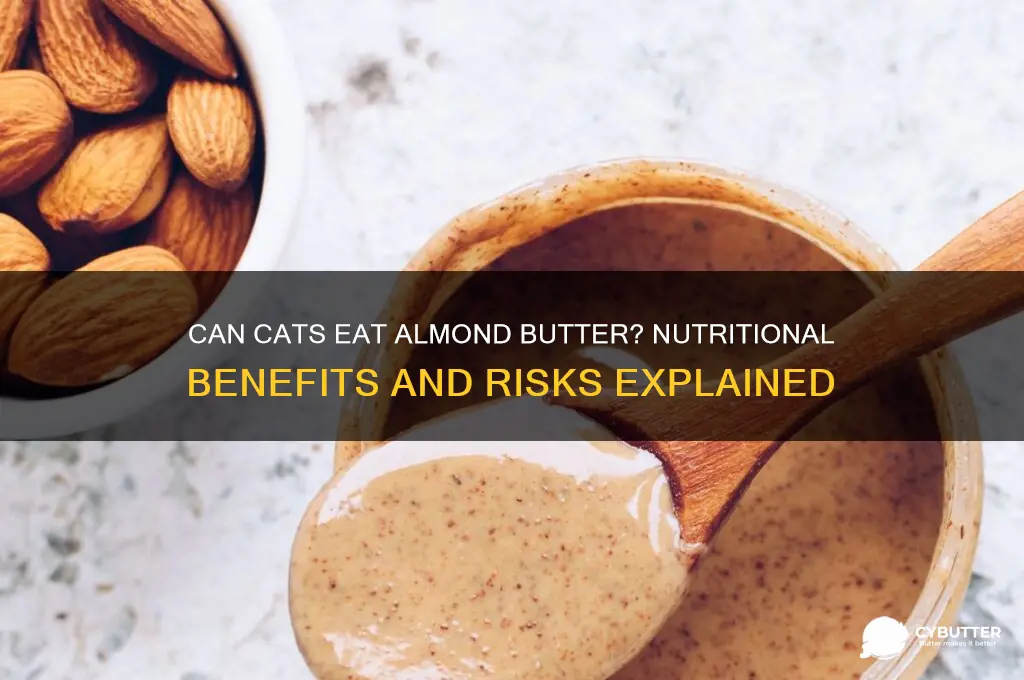 is almond butter good for cats
