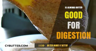 Almond Butter and Digestion: Benefits, Tips, and Healthy Gut Insights