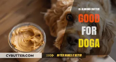 Is Almond Butter Safe for Dogs? Benefits, Risks, and Alternatives