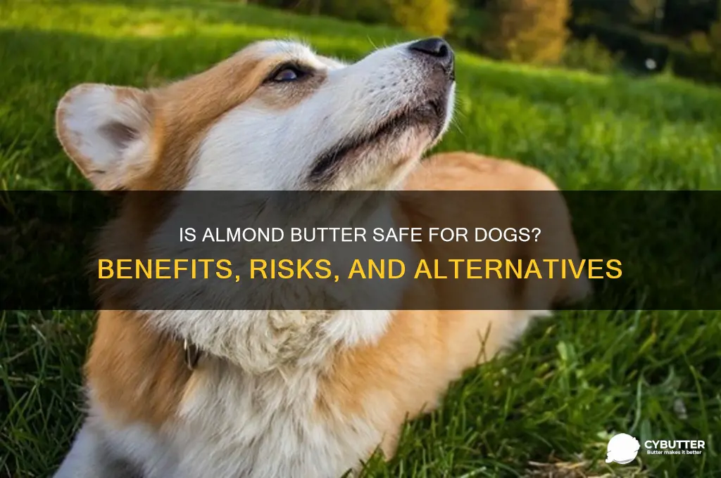 is almond butter good for dogs