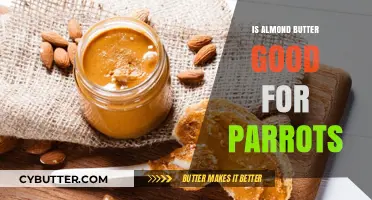 Almond Butter for Parrots: Nutritional Benefits and Safe Feeding Tips