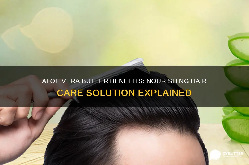 is aloe vera butter good for hair