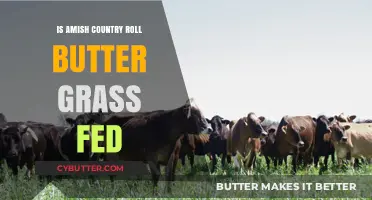 Exploring the Richness of Amish Country Roll Butter: Grass-Fed Goodness