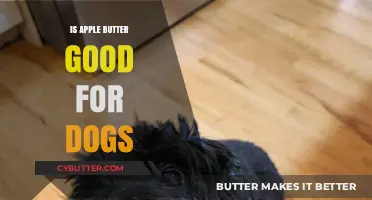 Can Dogs Eat Apple Butter? Safety and Benefits Explained