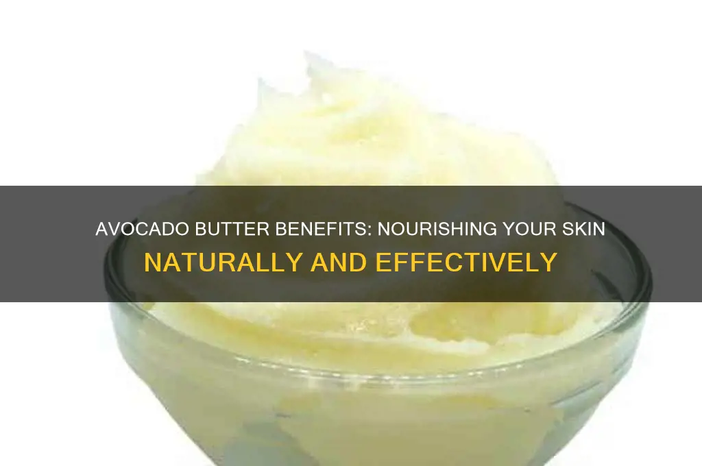 is avocado butter good for skin