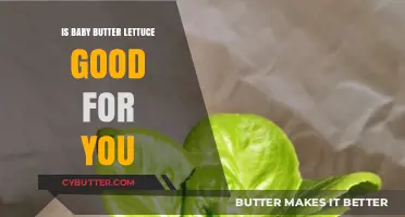 Is Baby Butter Lettuce Healthy? Nutrition Benefits and Facts Revealed