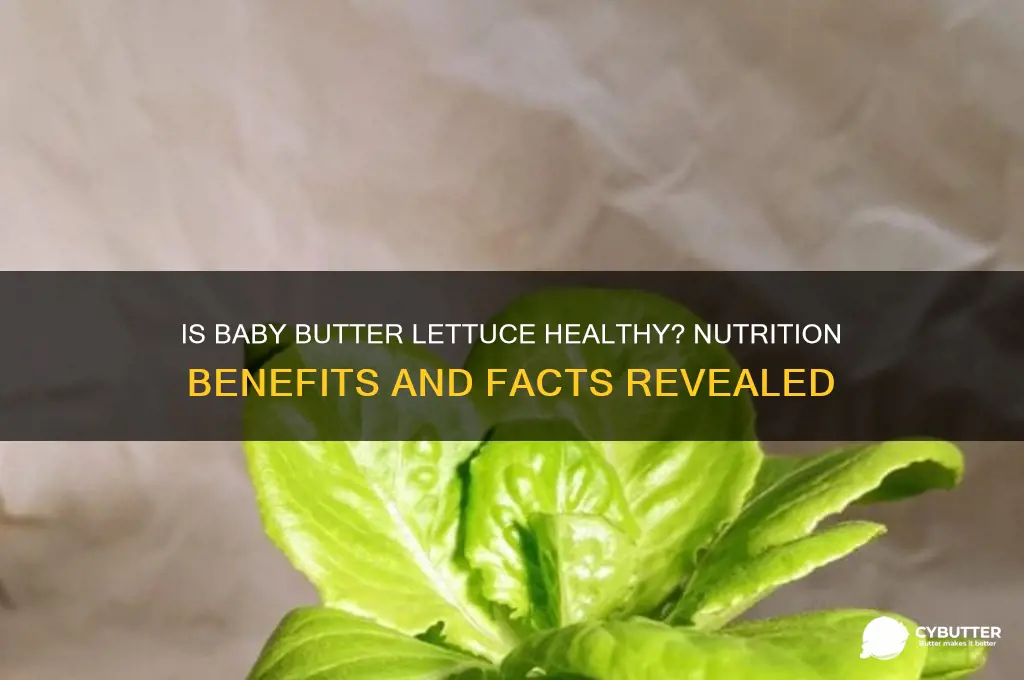 is baby butter lettuce good for you