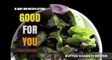 Baby Red Butter Lettuce: Nutritional Benefits and Health Advantages Explained