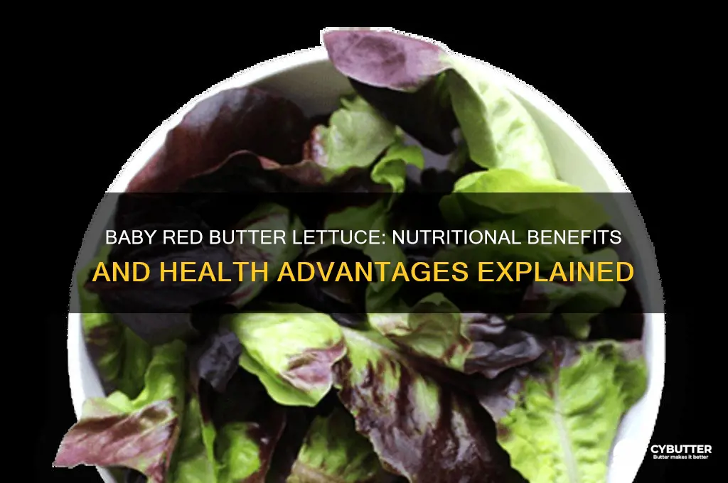 is baby red butter lettuce good for you