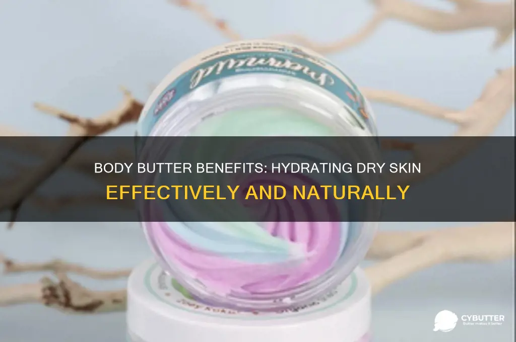 is body butter good for dry skin