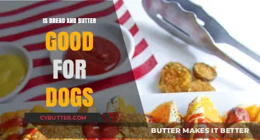 Can Dogs Eat Bread and Butter? A Vet-Approved Guide