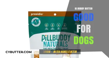Is Buddy Butter Safe and Healthy for Your Dog?