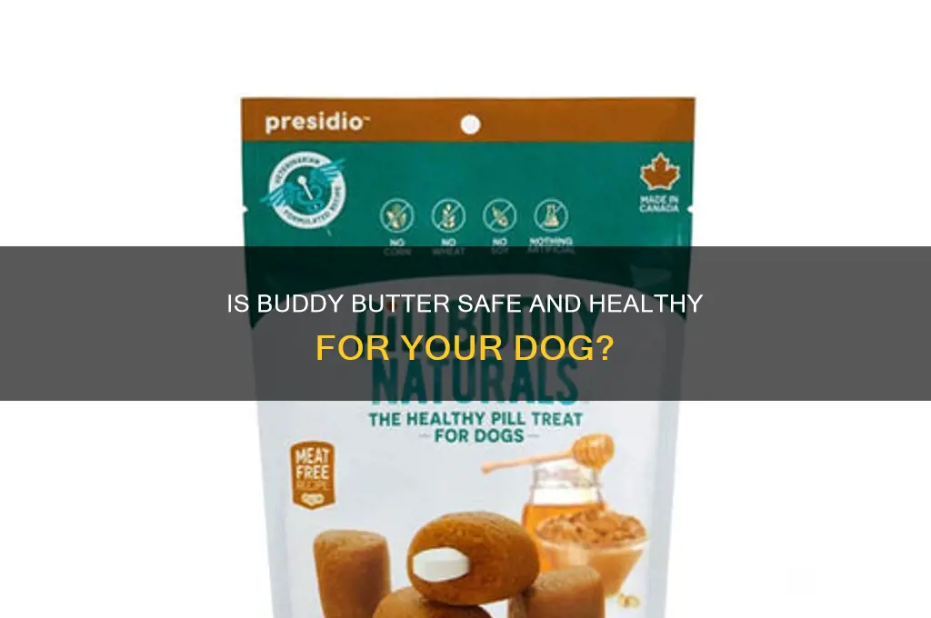 is buddy butter good for dogs