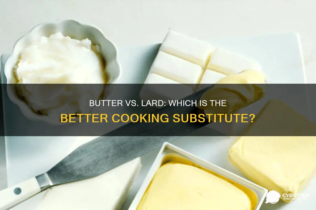 is butter a good lard substitute