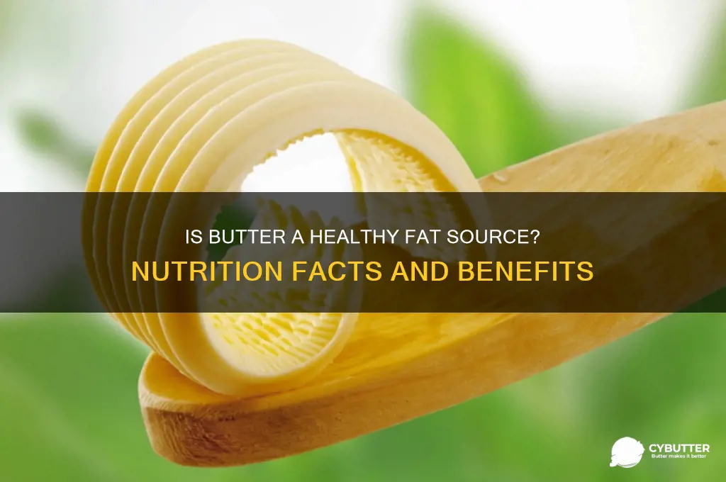 is butter a good source of fat