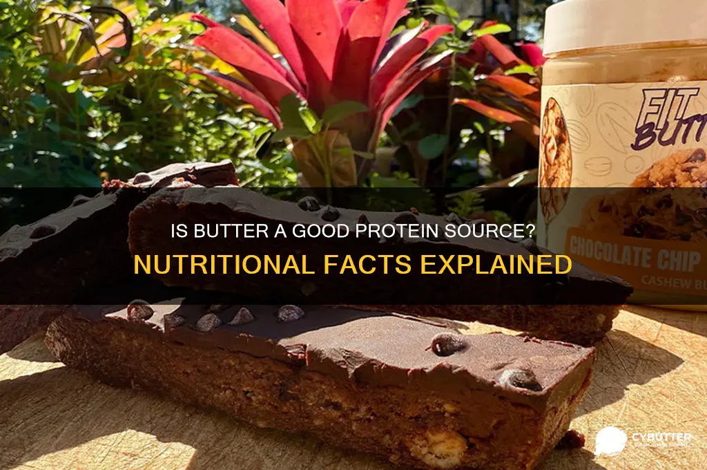 is butter a good source of protein