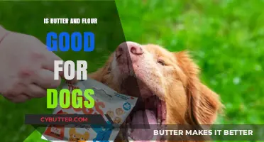 Butter and Flour for Dogs: Safe or Harmful? Expert Insights