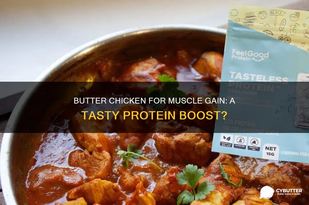 is butter chicken good for muscle gain