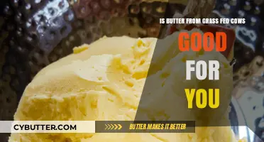 Grass-Fed Butter Benefits: Is It a Healthy Choice for You?