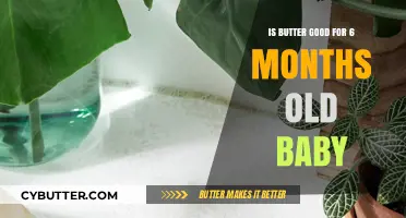 Butter for Babies: Is It Safe at 6 Months Old?