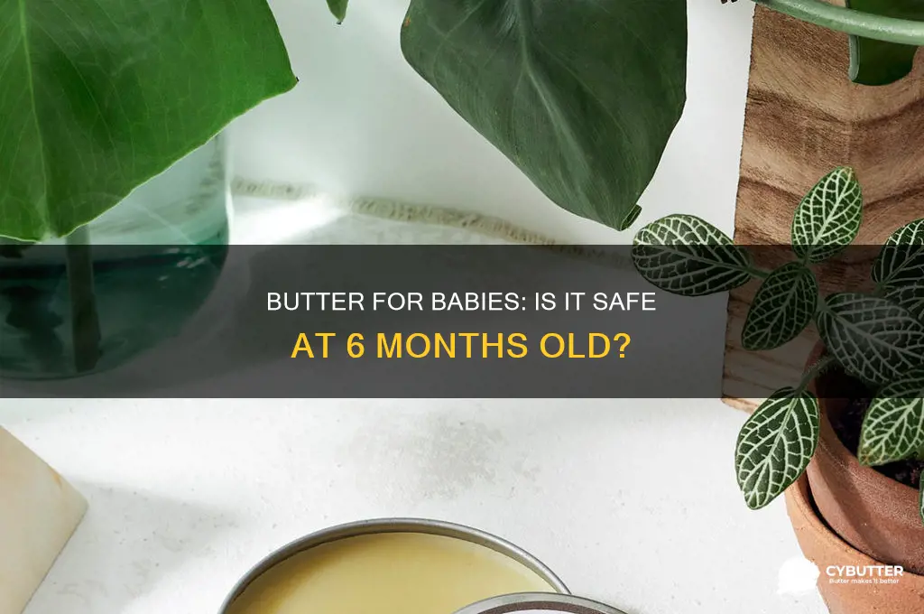 is butter good for 6 months old baby