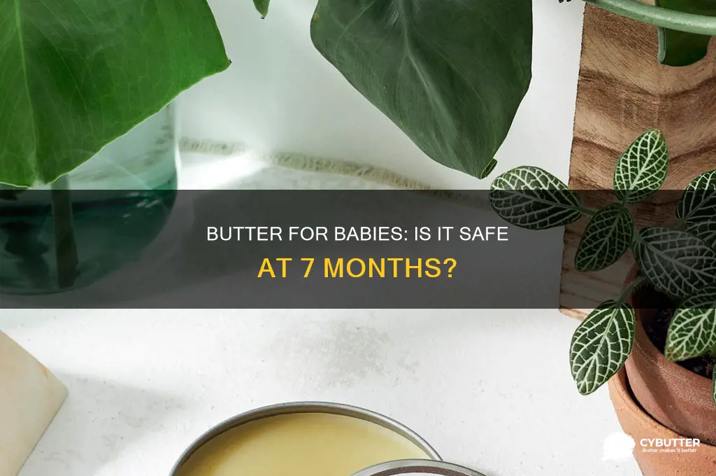 is butter good for 7 month old baby